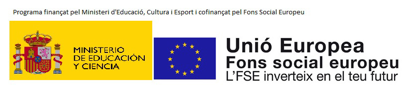 Fons Social Europeu